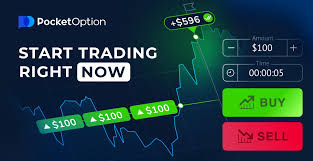 Trading Insights An In-Depth Look About Pocket Option